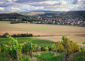 Bodenversiegelung – Durch das geplante Industriegebiet nördlich der B41 sollen viele Hektar guter Ackerboden versiegelt und somit zerstört werden