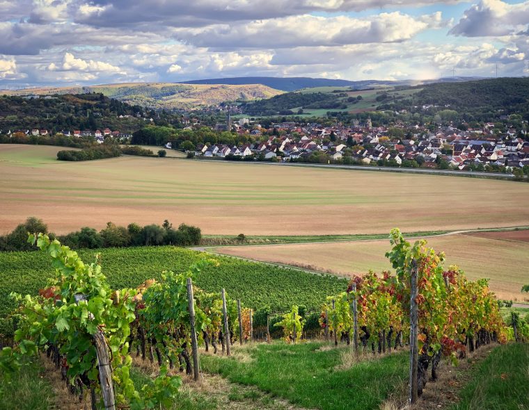 Bodenversiegelung – Durch das geplante Industriegebiet nördlich der B41 sollen viele Hektar guter Ackerboden versiegelt und somit zerstört werden